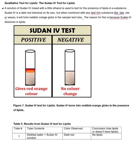sudan test for lipids